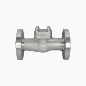 Forged Steel Check Valve