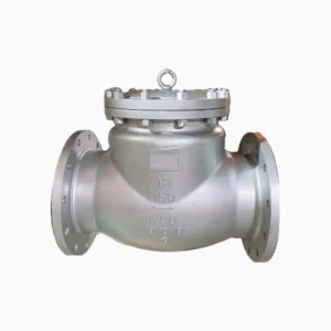 Swing Check Valve